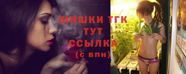 соль ск Алзамай