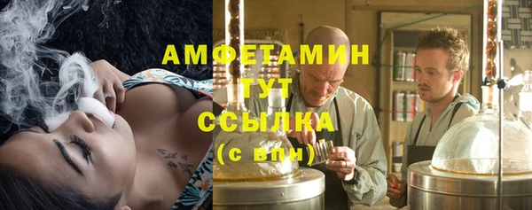 ПСИЛОЦИБИНОВЫЕ ГРИБЫ Алексин