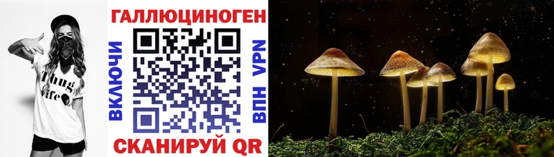 Галлюциногенные грибы MAGIC MUSHROOMS  Макушино 